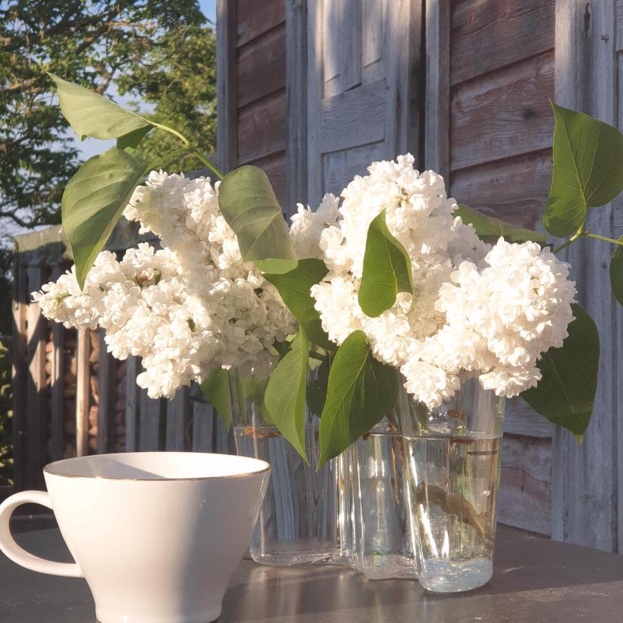 Hemse Ronehamn Bed And Breakfast מראה חיצוני תמונה