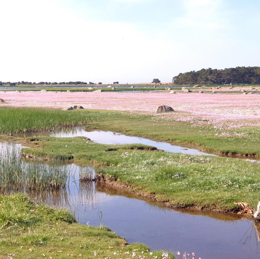Hemse Ronehamn Bed And Breakfast מראה חיצוני תמונה