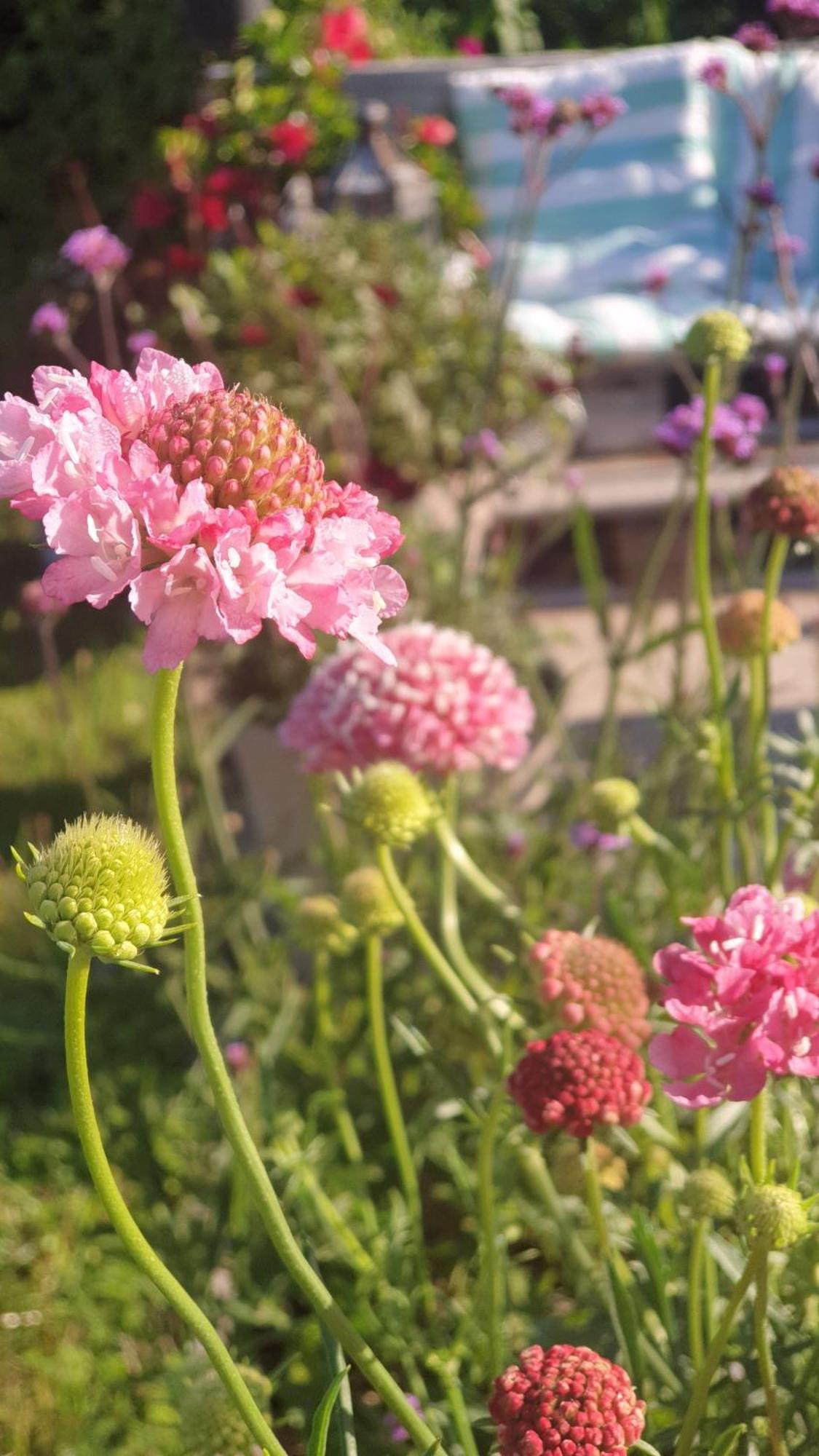 Hemse Ronehamn Bed And Breakfast מראה חיצוני תמונה